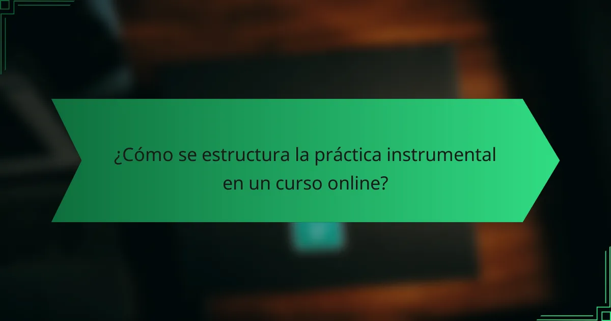 ¿Cómo se estructura la práctica instrumental en un curso online?