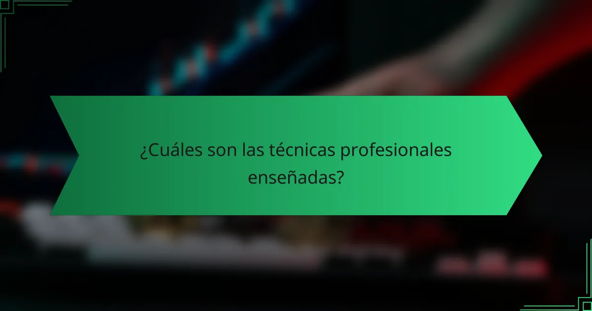 ¿Cuáles son las técnicas profesionales enseñadas?